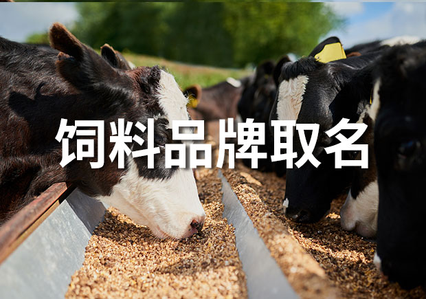飼料品牌取什么名字好-探鳴起名網-中國較大的商業起名公司.jpeg 飼料品牌取什么名字好-探鳴起名網-中國較大的商業起名公司.jpeg